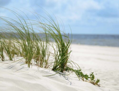 Top Reasons to Book a Vacation in Fall in Gulfport, MS