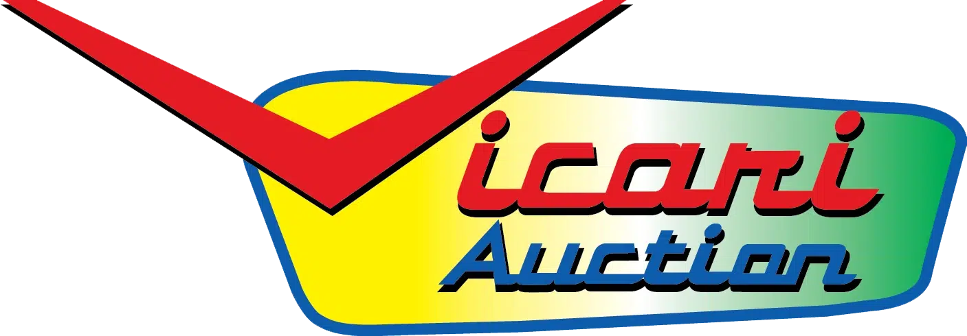 Vicani auction.