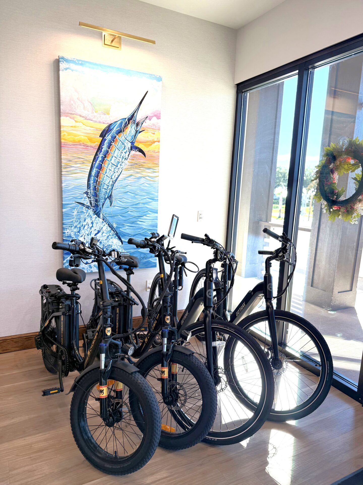 Bikes (E-Bike) ebikes available to rent