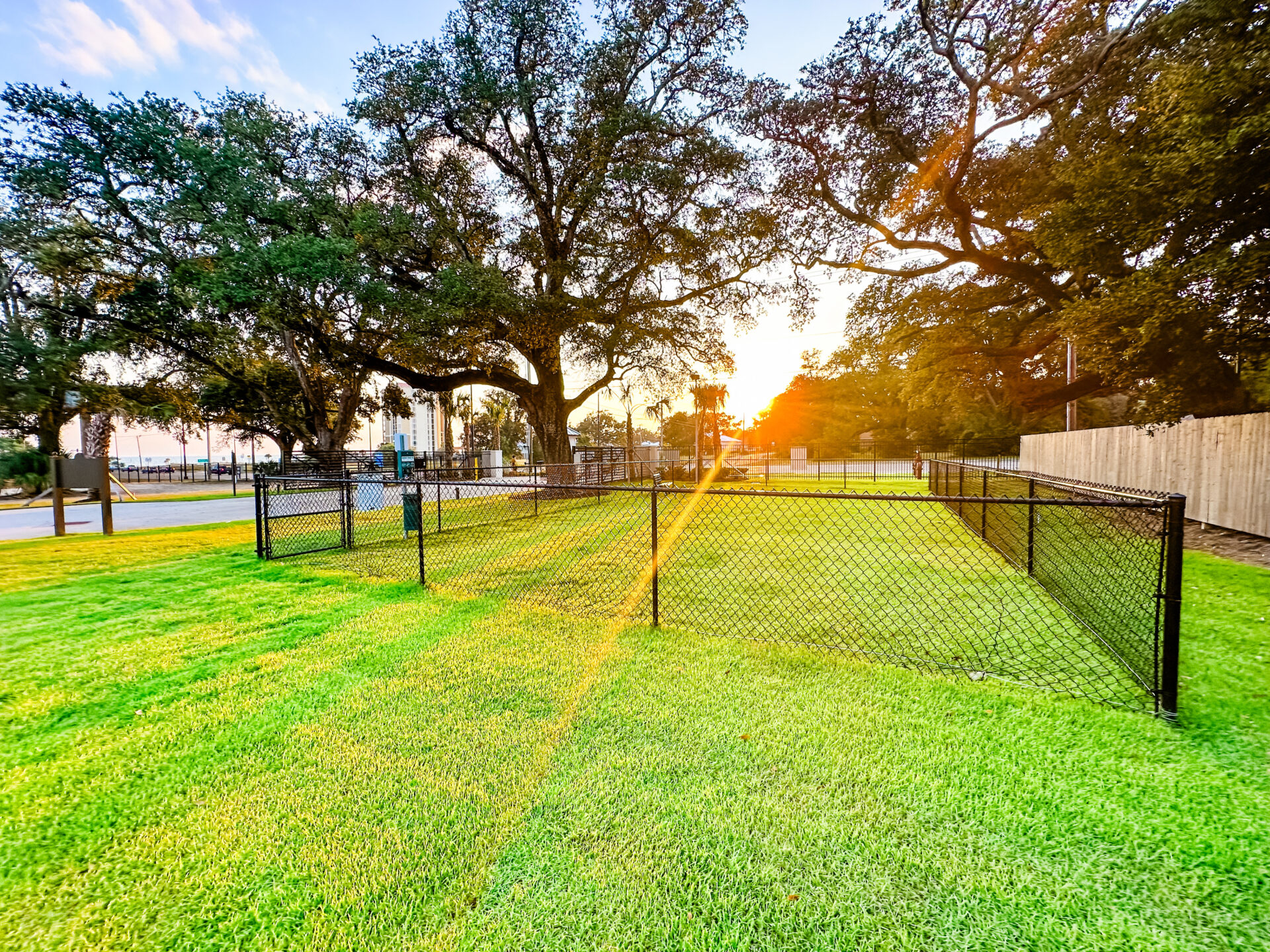 Dog Park fenced in dog park at gulfport luxury rv resort